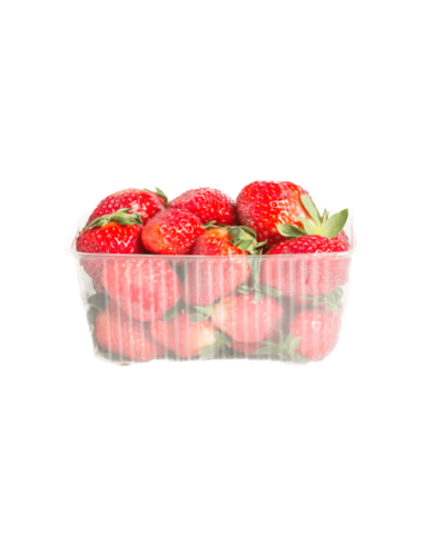 Fraise Nature Fresa 500gr